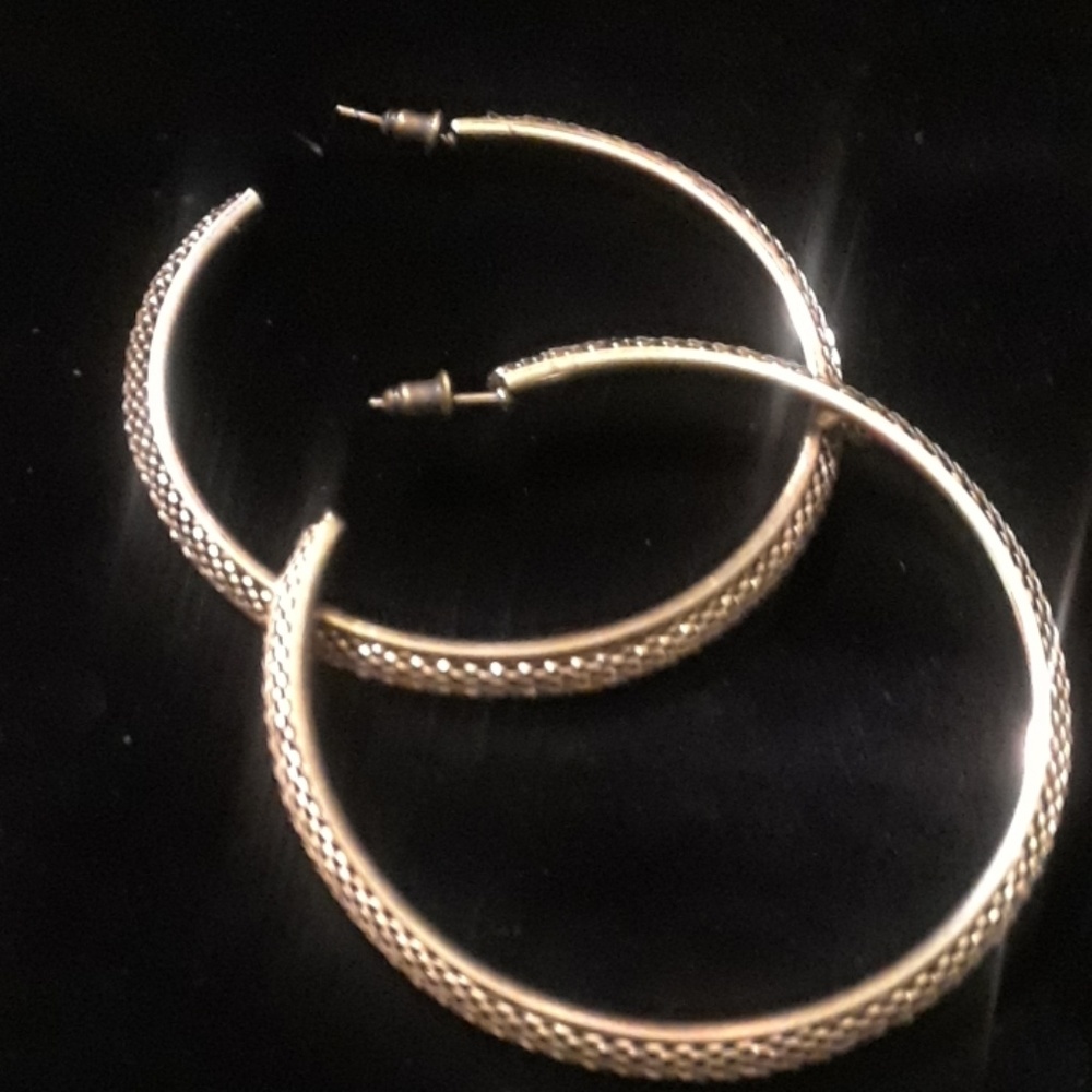 Paparazzi hoop earrings